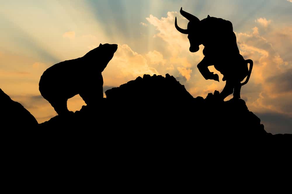 Exploring the Dynamics of Bull and Bear Markets